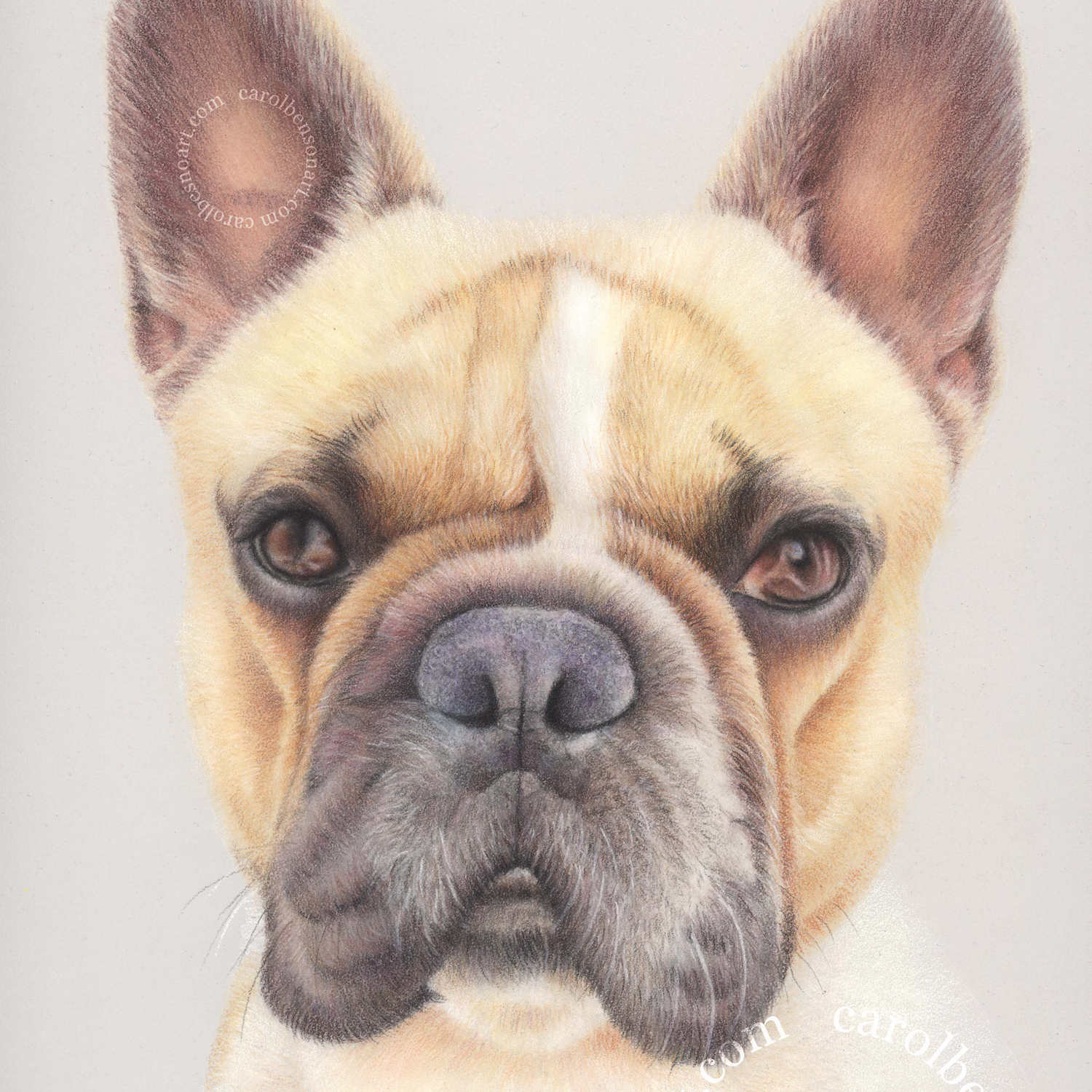 Carol Benson Art